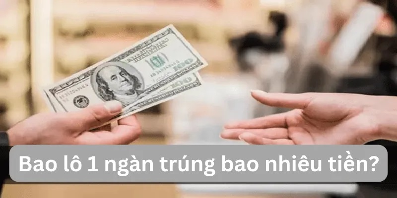  Bao lô (lô tô) là một hình thức cá cược dựa trên kết quả xổ số truyền thống